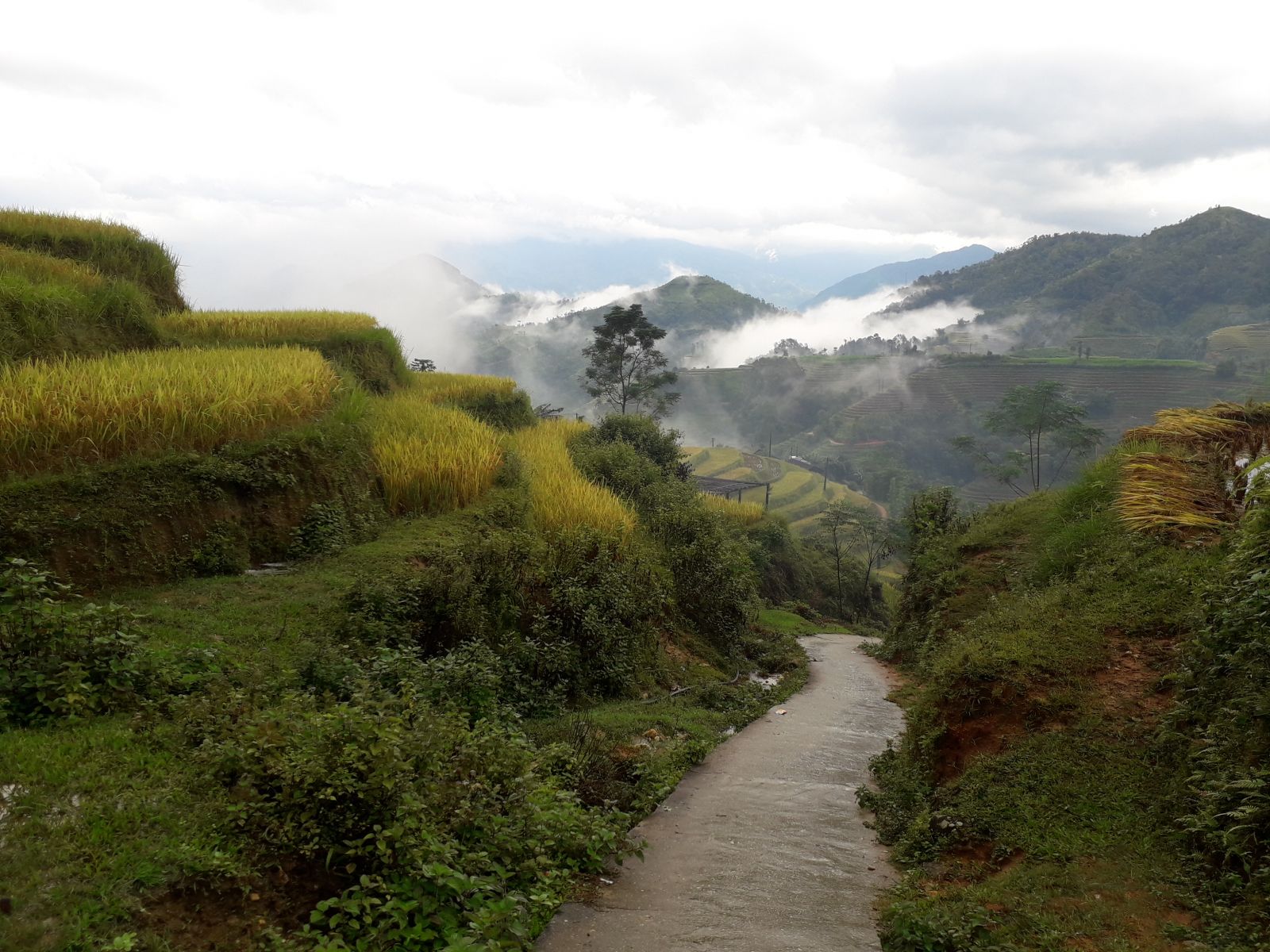 Hoang Su Phi trek to Ban Luoc rice terraces