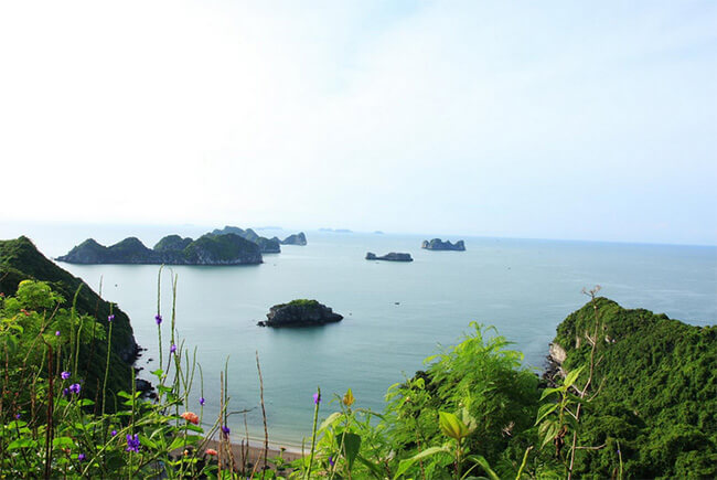 Cat Ba island