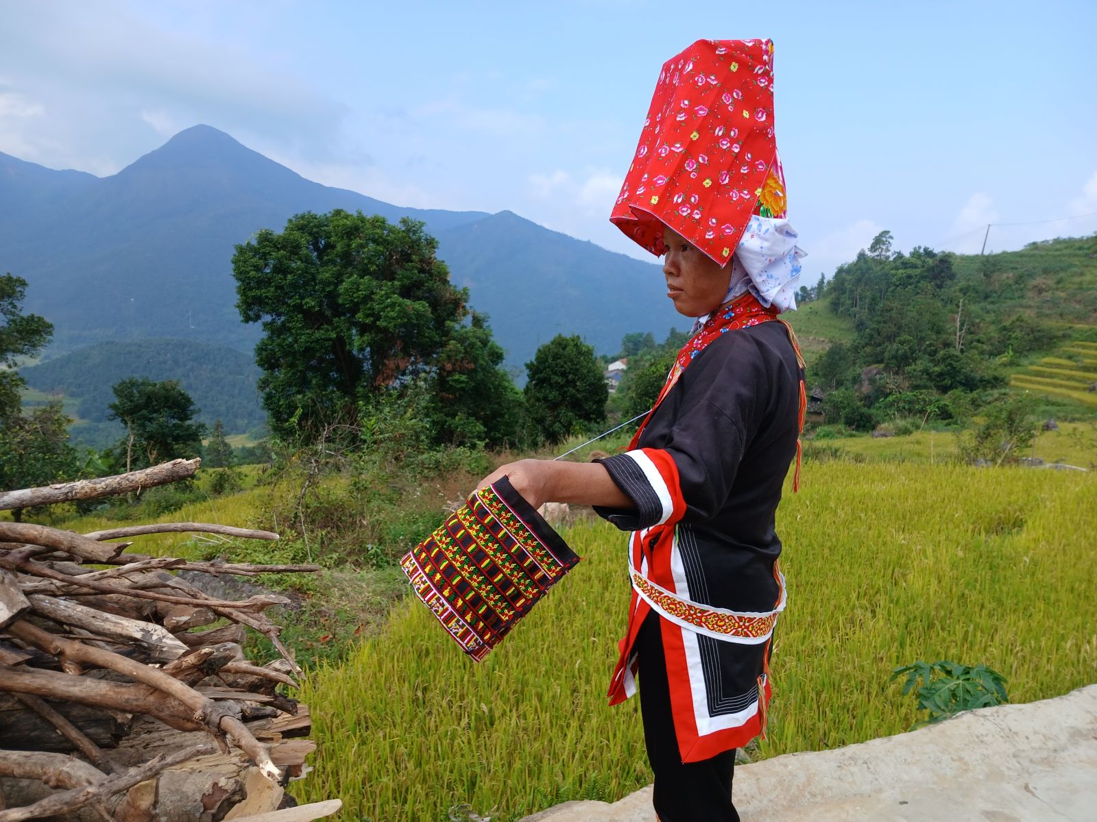 high-hat Dao