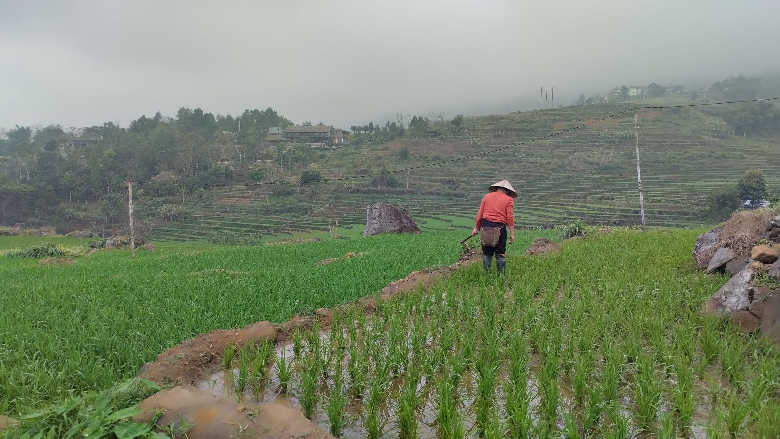 farming at Pu Luong