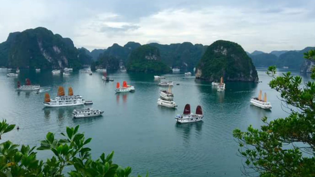 Halong Bay Day Trip on Wego Cruise: A Perfect Day Tour from Hanoi