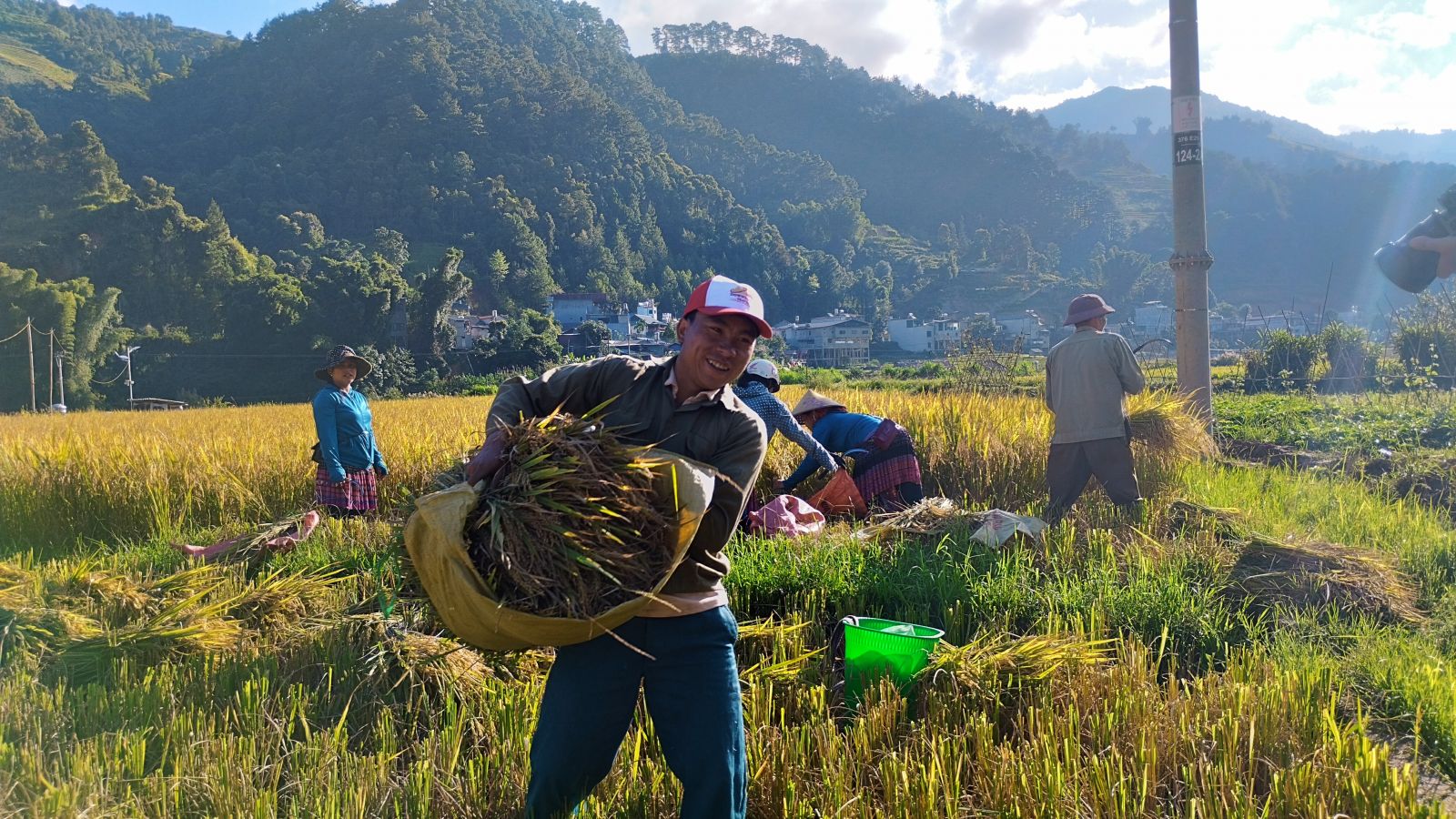 Harvesting time in Mu Cang Chai