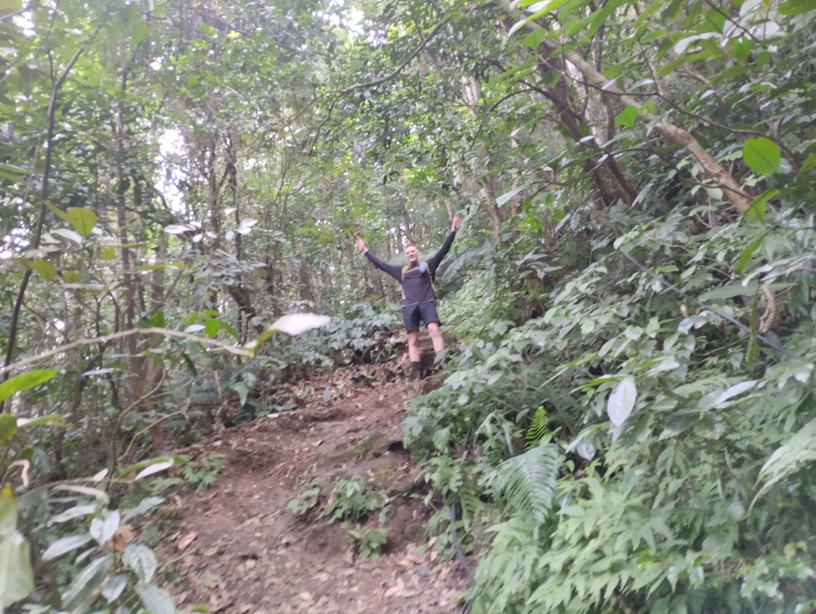 Ba Vi park hike