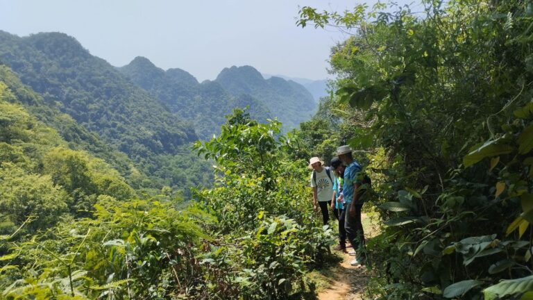 Northern Vietnam Adventure: 2-Day Pu Luong Trekking & Ninh Binh Boat Tour