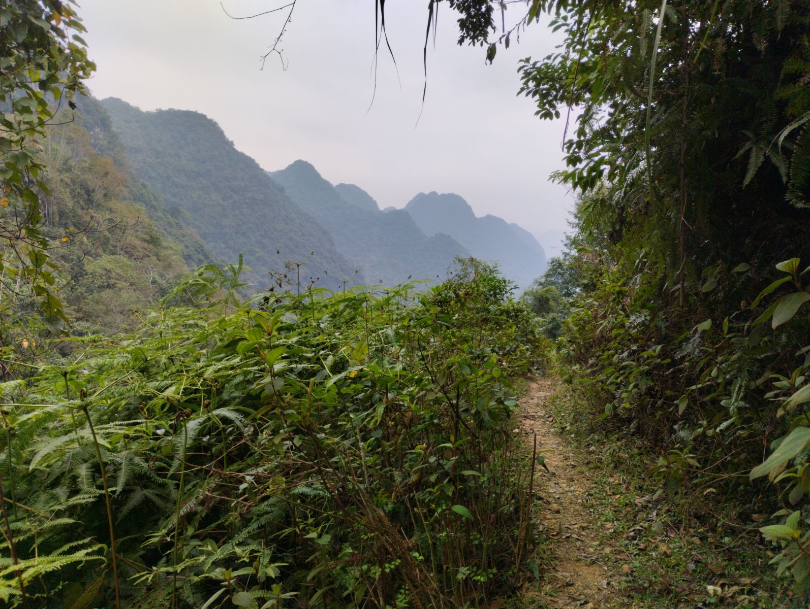 Trails for hiking Pu Luong forest
