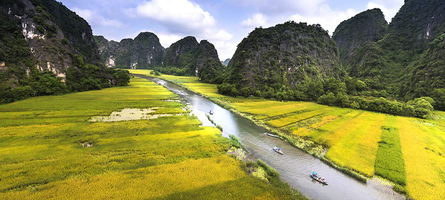 Tam Coc in Golden Rice Fields