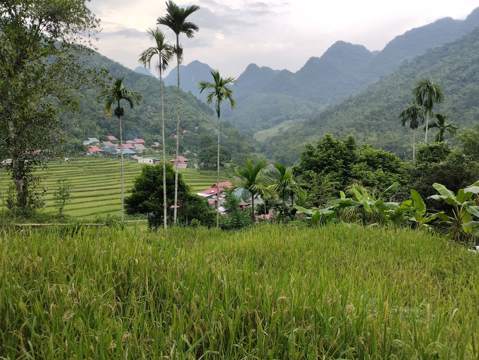 Eo Ken village - Pu Luong