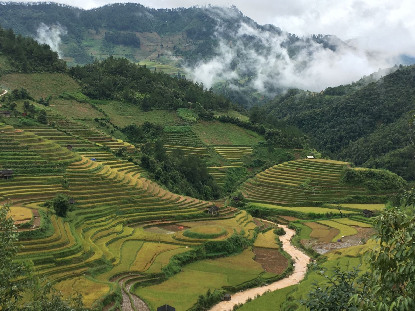 Rice terrace in La Pan Tan