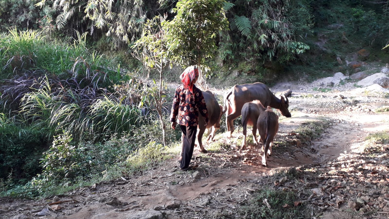 Local ethnic in Nam Ai