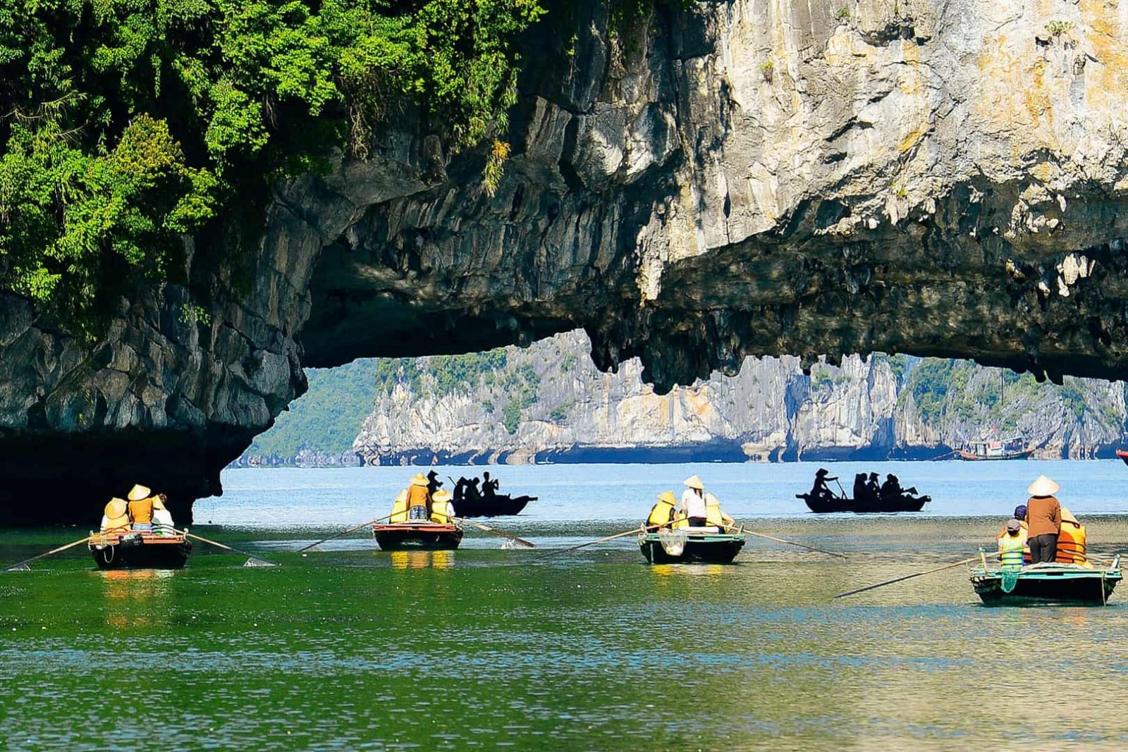 Luon cave - Halong bay