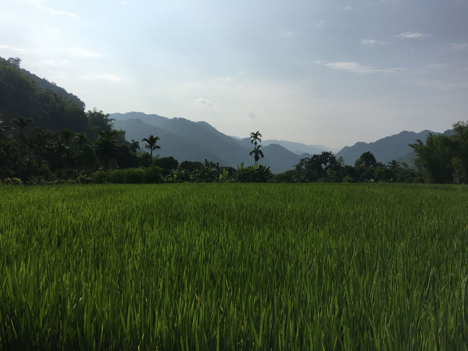 Mai Chau landscapes