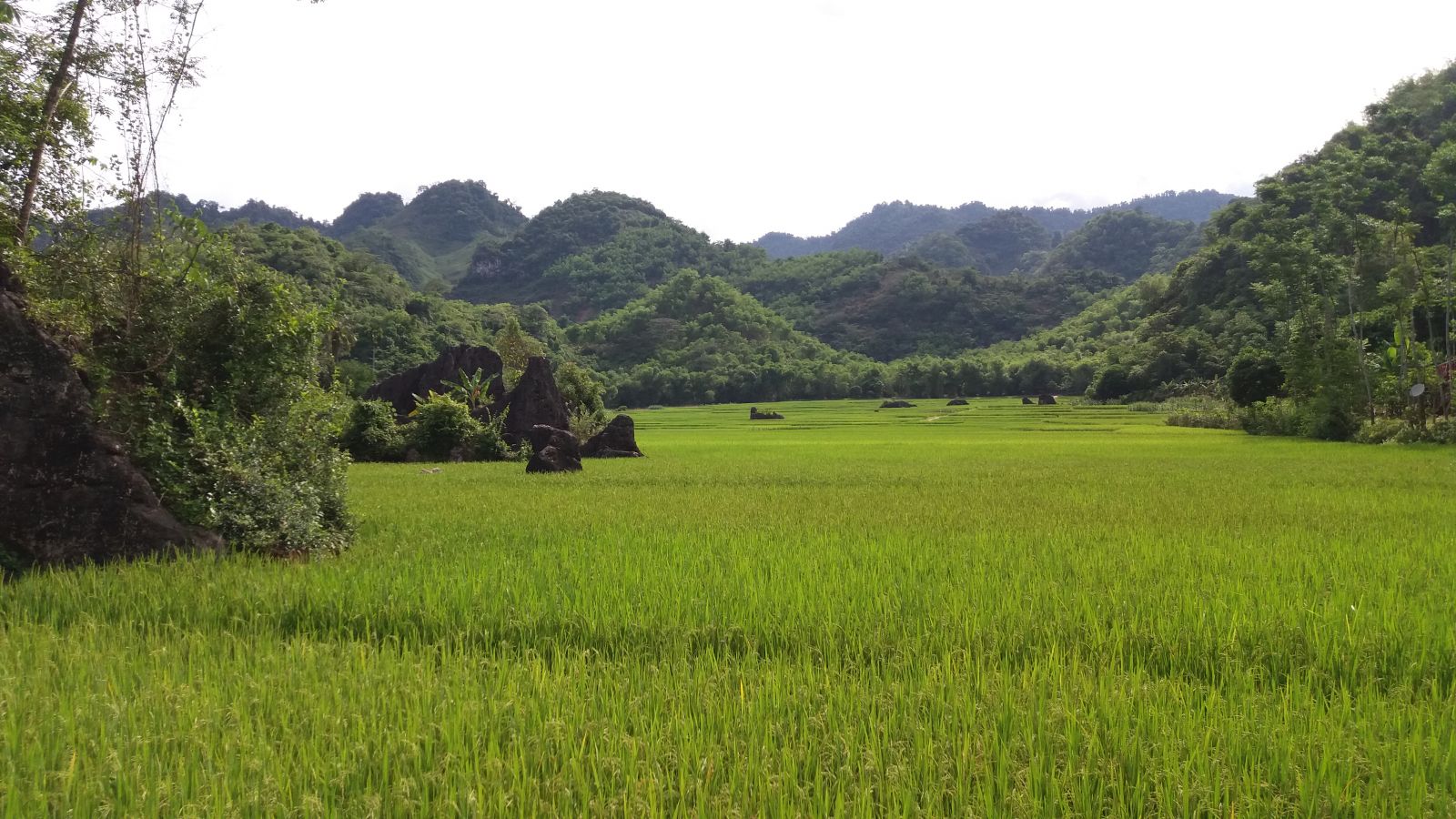 Maichau-Ninhbinh-tour-package-trekking route in Mai Chau