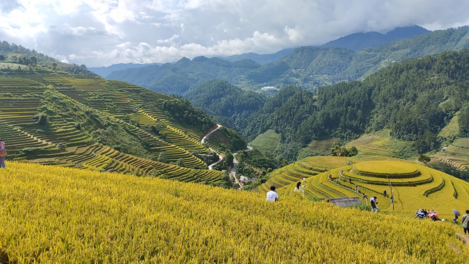 Mam Xoi - Mu Cang Chai