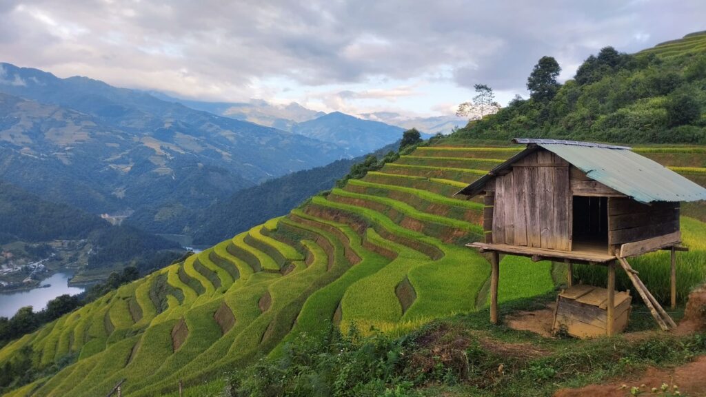 Epic Mu Cang Chai Tour 4 Days: Trekking, Rice Terraces & Ethnic Culture