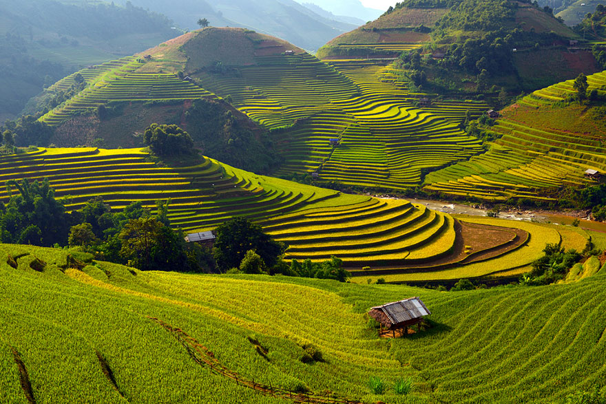 Rice fields in Mu Cang Chai