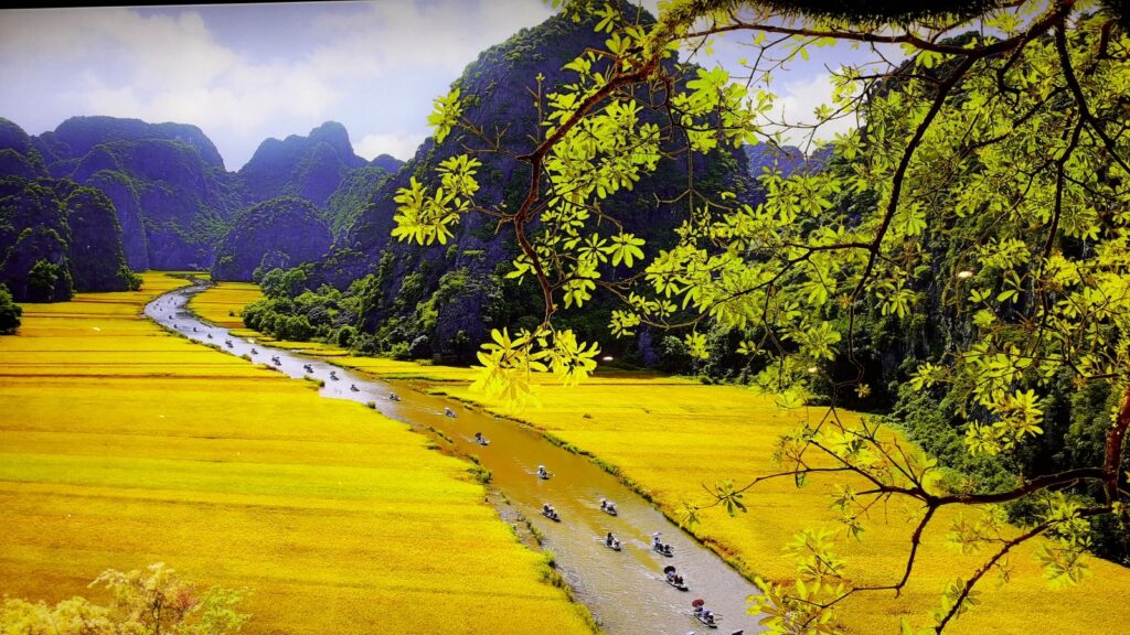 Scenic Escape to Ninh Binh: Tam Coc, Mua Cave & Hoa Lu Day Trip