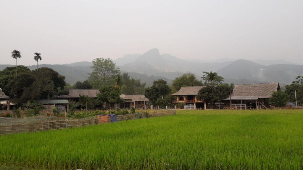 Epic Mu Cang Chai Tour 4 Days: Trekking, Rice Terraces & Ethnic Culture