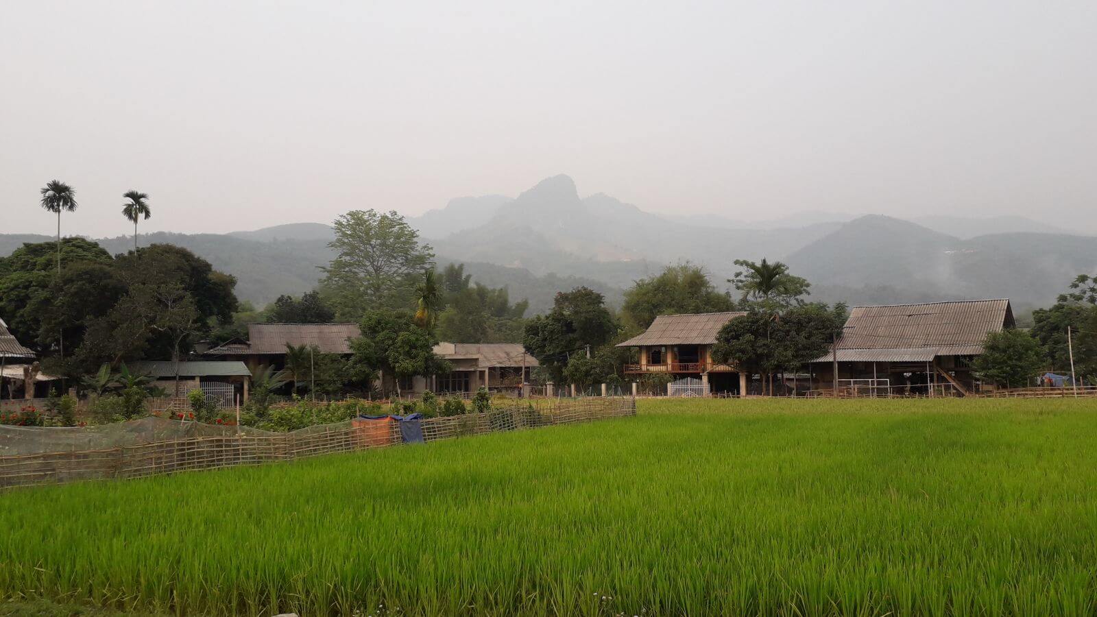 Muong Lo valley - Nghia Lo town