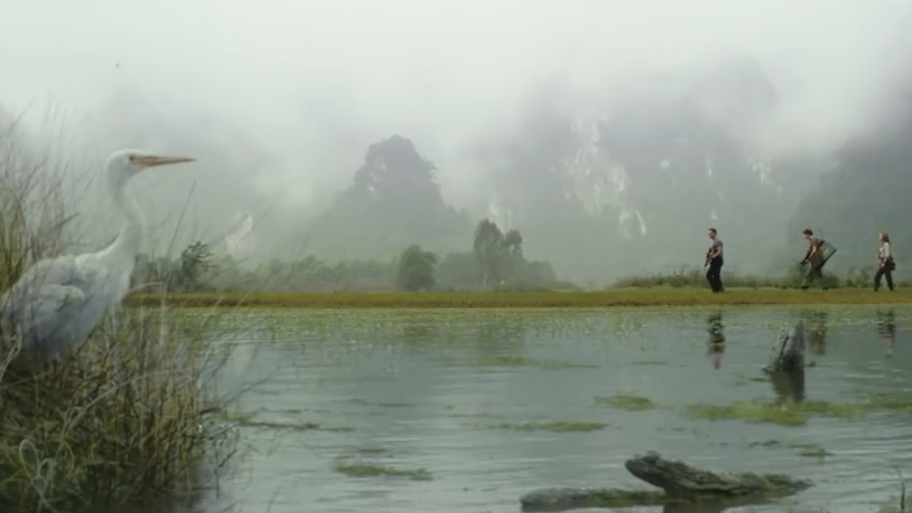 Ninh Binh tour to Trang An