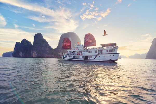 Cruise Bai Tu Long Bay on Renea