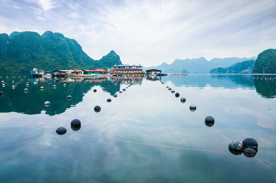 Pearl Farm Halong bay