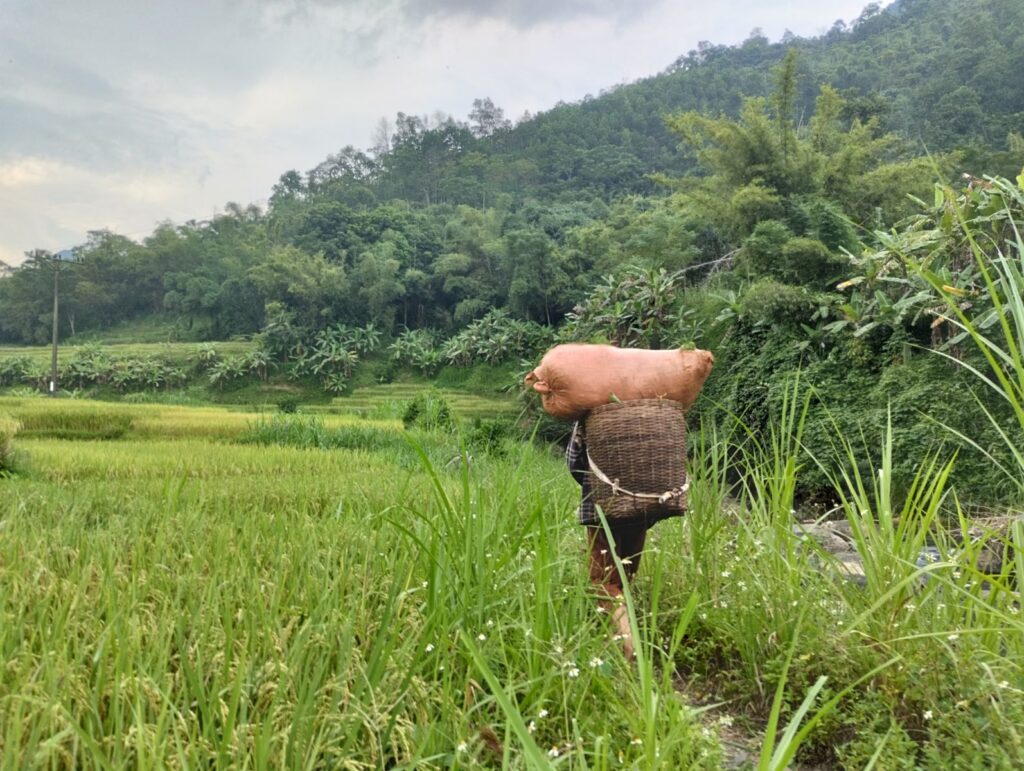 Into the Wild Pu Luong: 3-Day Trekking Escape Through Nature & Culture