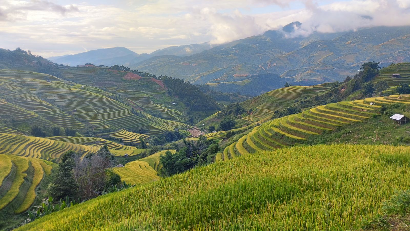 Mu Cang Chai hiking tour