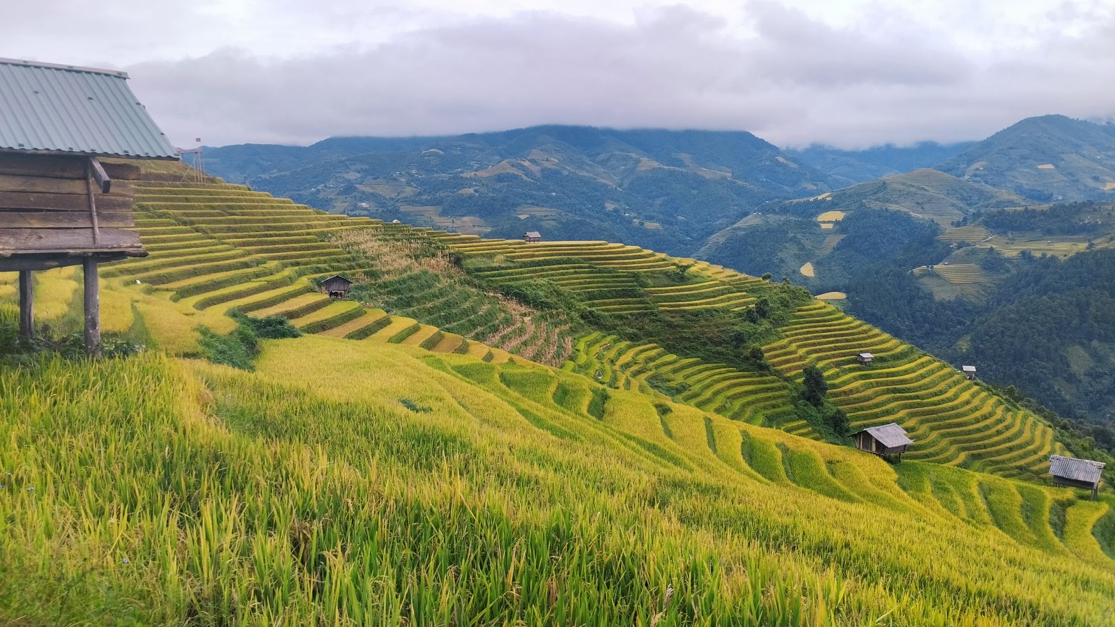 Mu Cang Chai trekking trail to view rice terraces