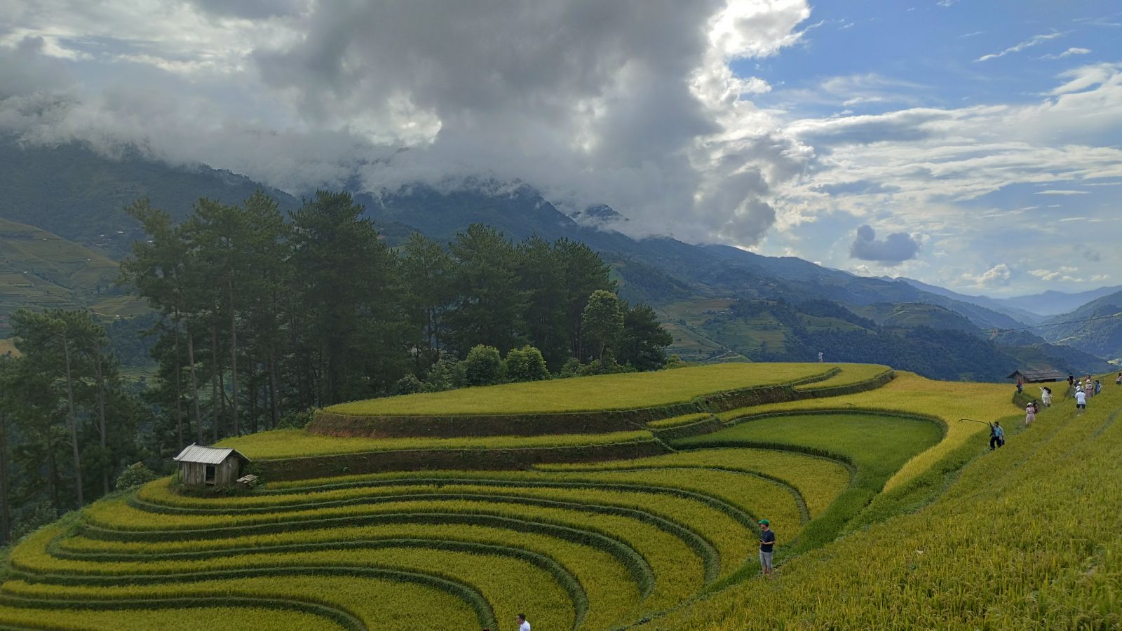 Mu Cang Chai's landscapes