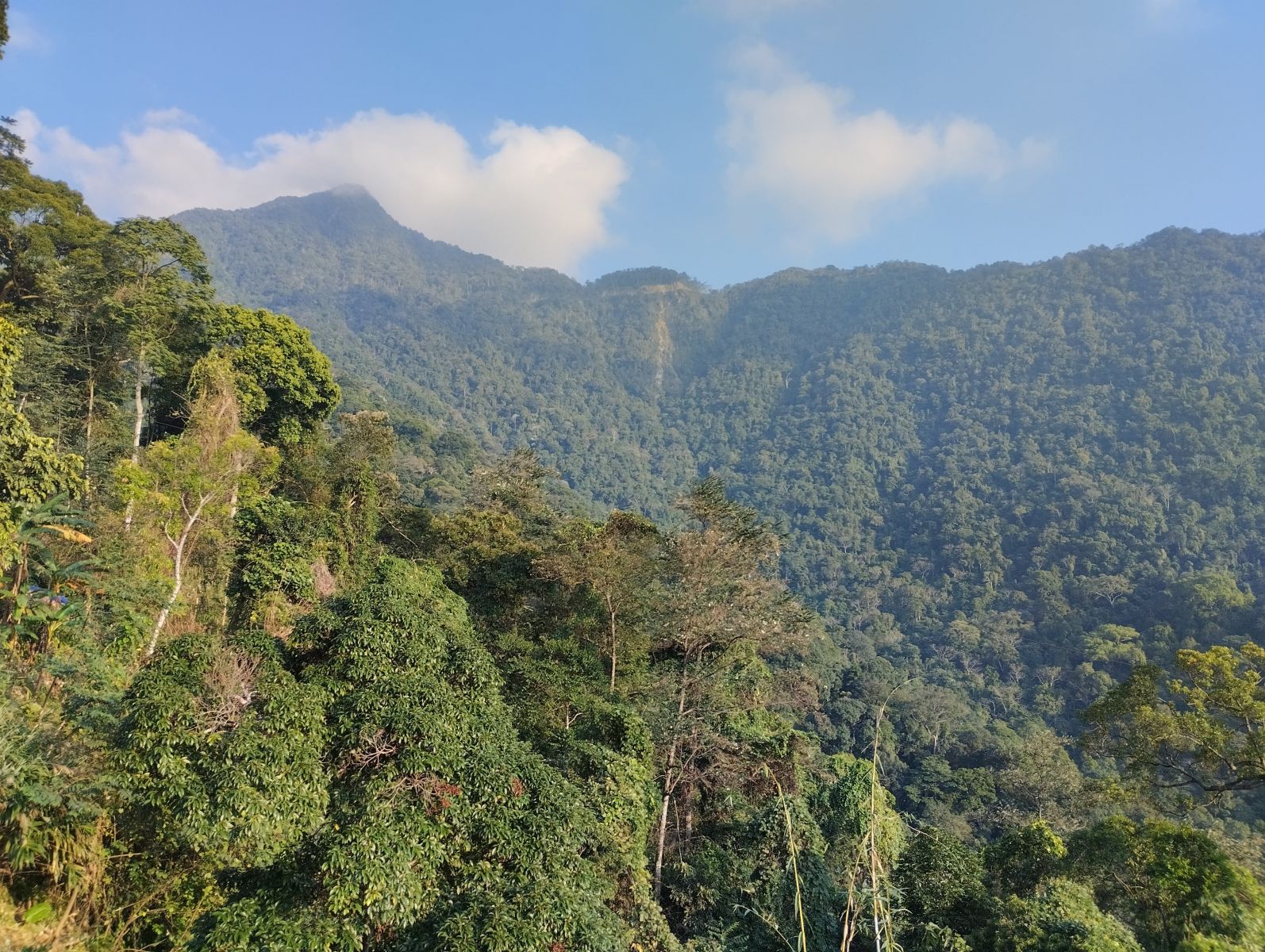 Tam Dao mountain
