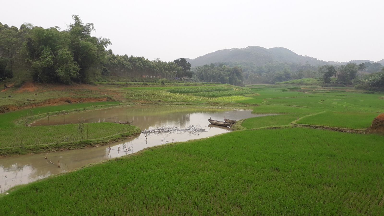 Homestay view