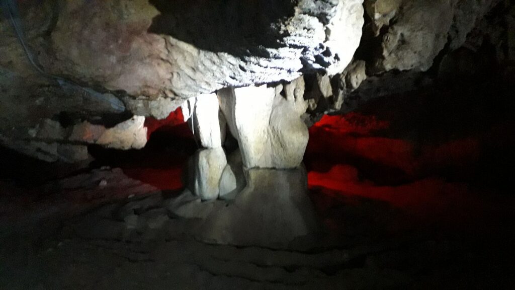 2-Day Ninh Binh Tour: Cuc Phuong Trekking, Galaxy Grotto Boat Ride & Hoa Lu Temples