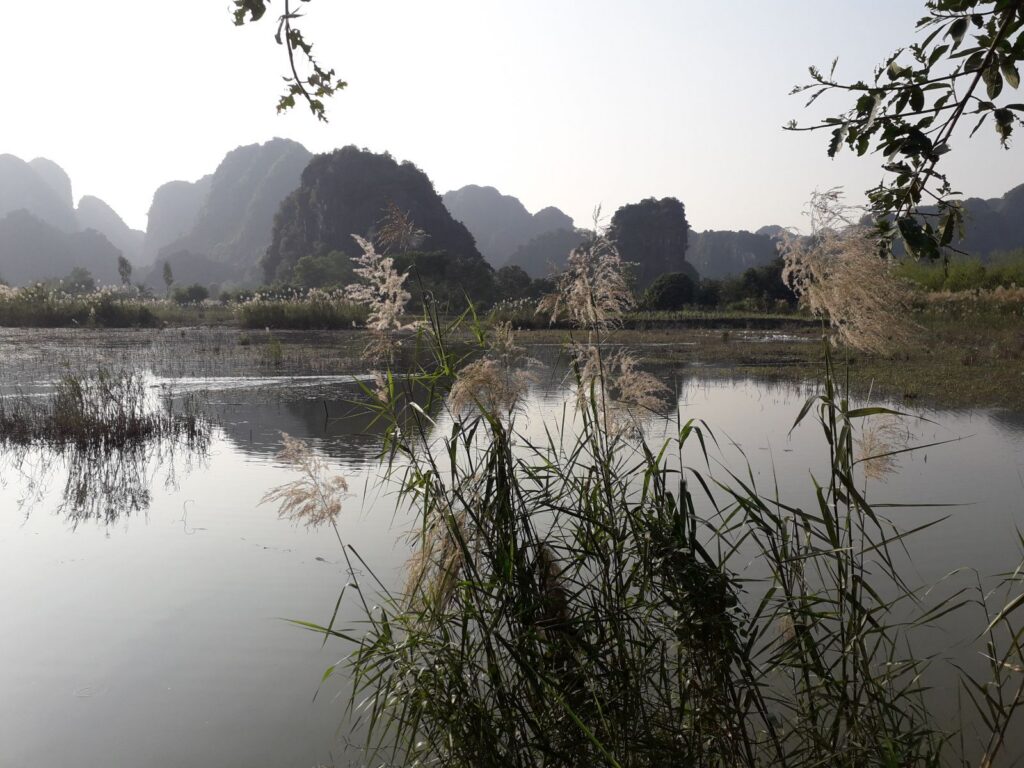 Cycle Through Ninh Binh’s Beauty : Senic Biking, Trekking & Boat Rides