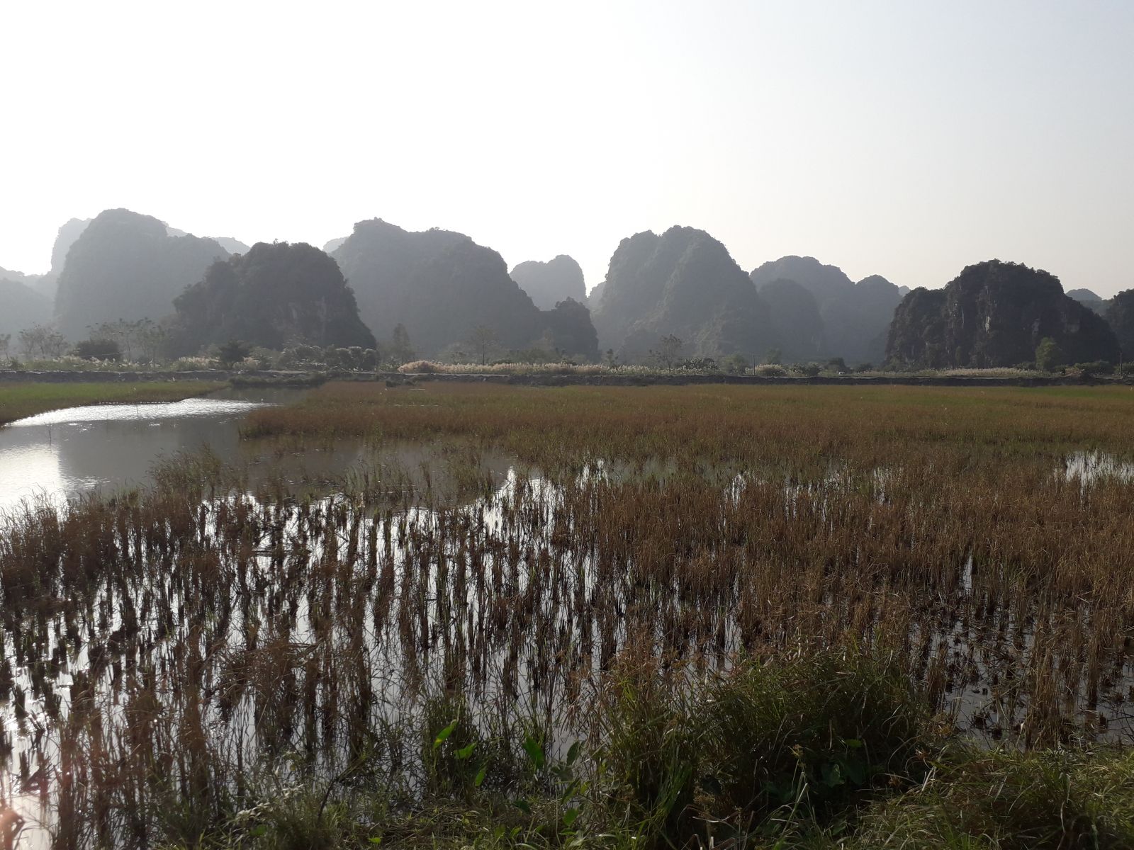 Limeston mountains in Thung Nang valley