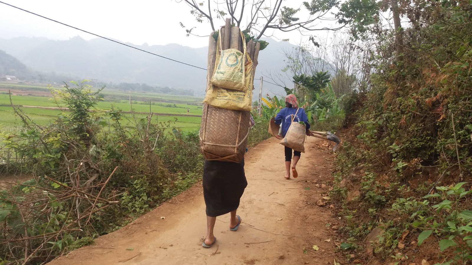 Tour in Mai Chau- local transport basket
