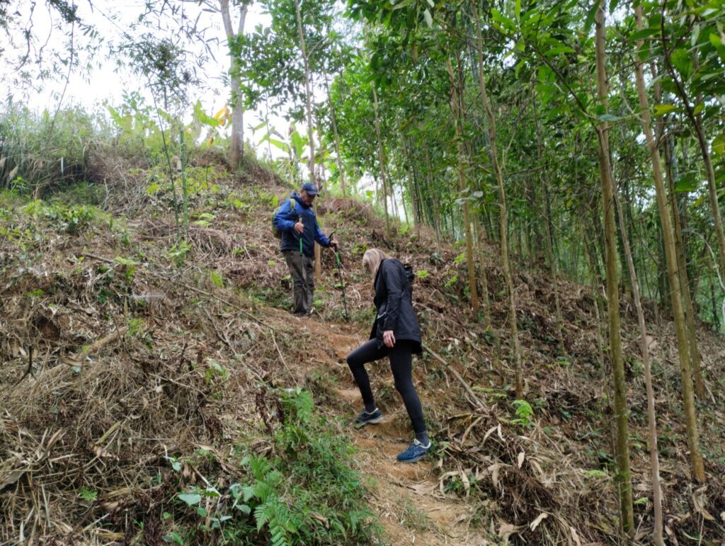 Escape Hanoi to Cuc Phuong National Park : Forest Trekking & Wildlife Conservation Visit