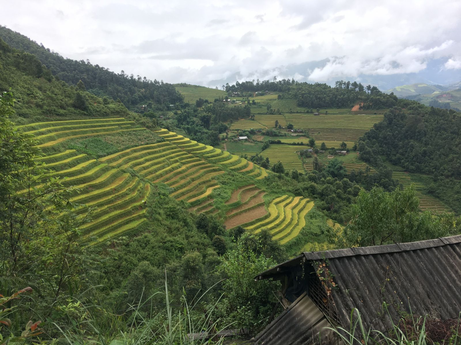 Trekking Mu Cang Chai - La Pan Tan