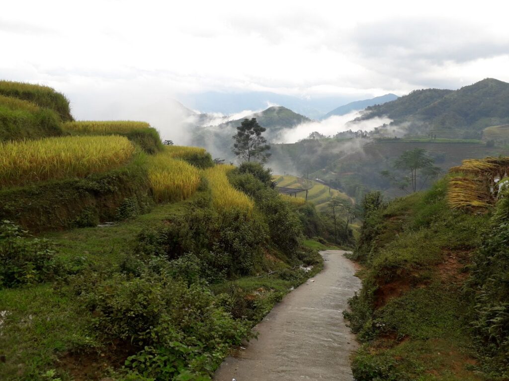 Hidden Trails of Hoang Su Phi : 4-Day Authentic Trek & Ethnic Homestays in Ha Giang