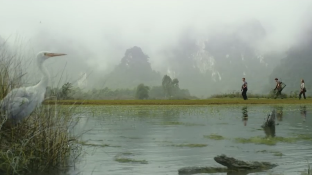 2-Day Ninh Binh Tour to Kong Skull Island’s Setting Locations : Trang An Scenic Landscapes & Van Long Wetland