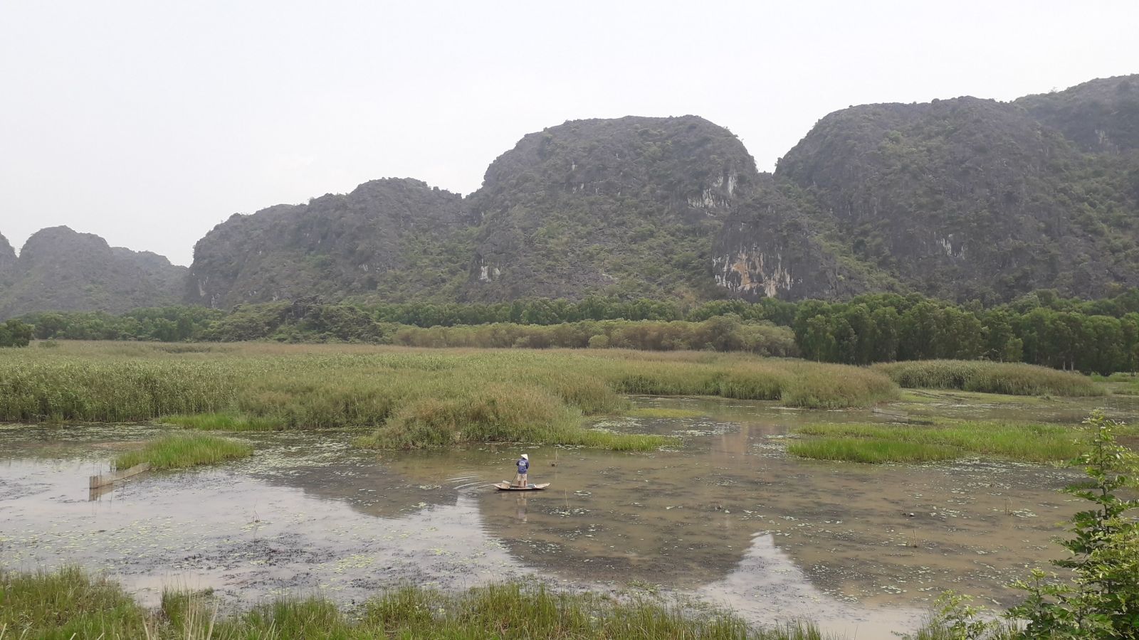 Van Long Nature Reserve Day Trip