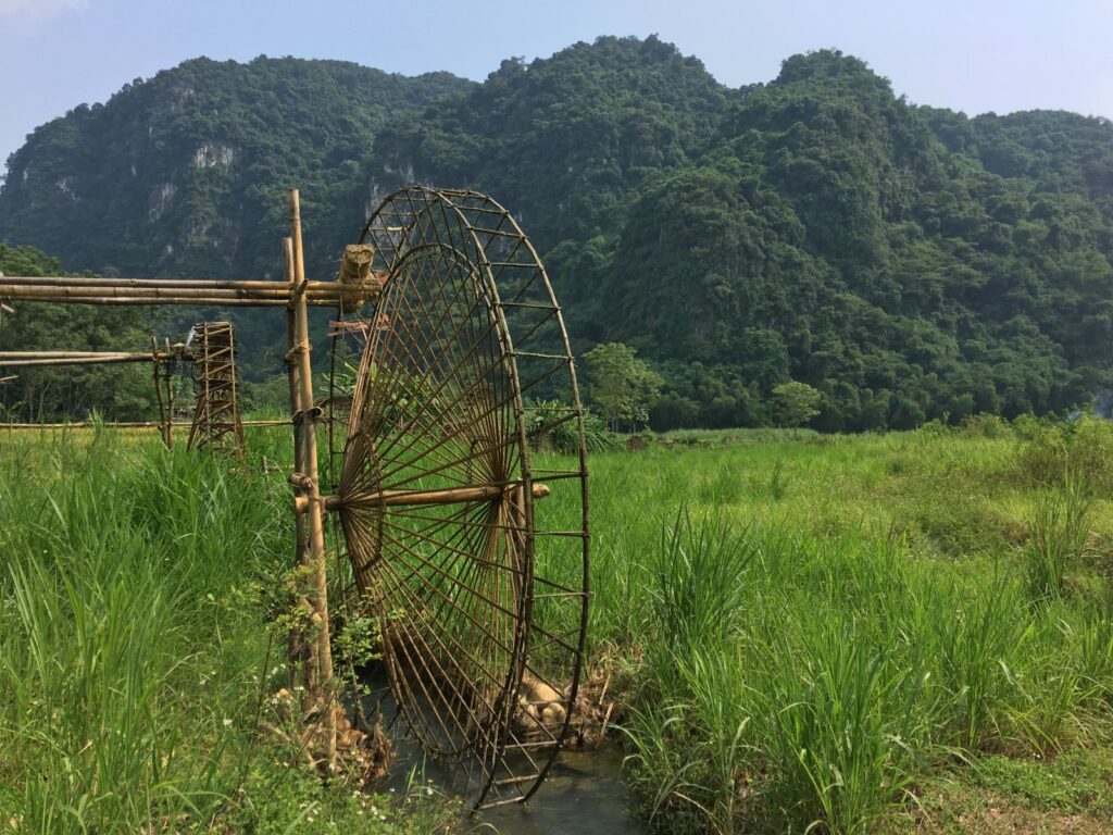 Into the Wild Pu Luong: 3-Day Trekking Escape Through Nature & Culture
