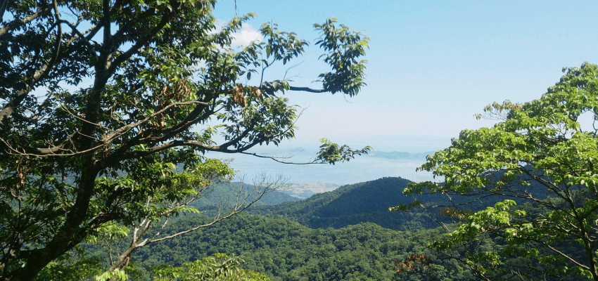 Bach Ma national park view