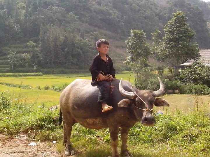 The valley of Bac Son