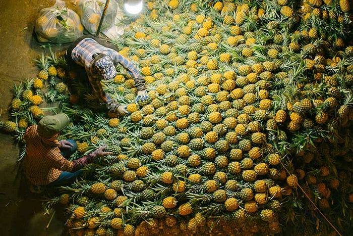 Fruit market Long bien