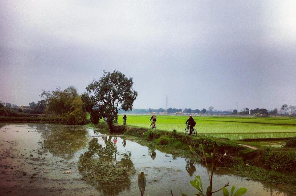 Ninh Binh cycling trip