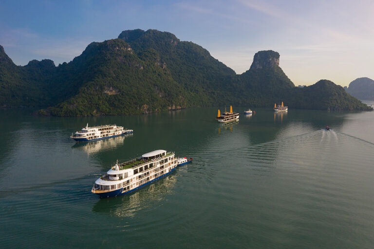 Halong Bay Cruises