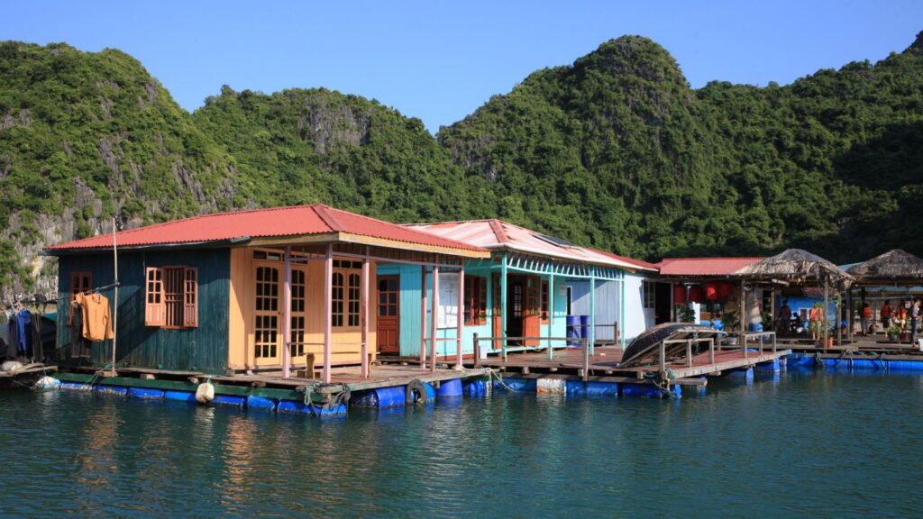 Escape the Crowds: Treasure Junk Cruise to Bai Tu Long Bay